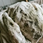 Vlhkosť spôsobuje, že samotné predmety vytvárajú zatuchnutý zápach. vlhkost-sposobuje-ze-samotne-predmety-vytvaraju-zatuchnuty-zapach.webp.webp