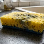 zapach-plesne-zo-spongie-signalizuje-skrytu-hrozbu-v-kuchyni.webp.webp